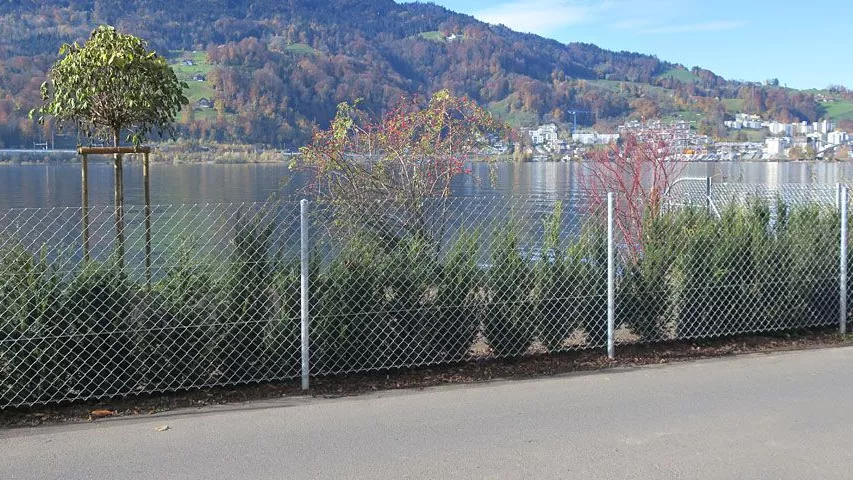 1.5-Haus-und-Garten-Diagonalgeflechtzaun.jpg