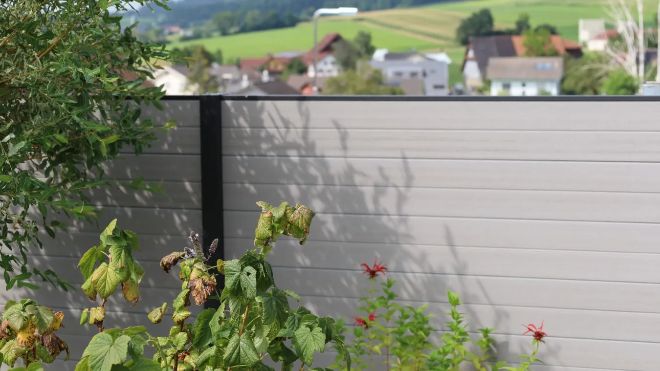 4 Foto Sichtschutz 10.JPG