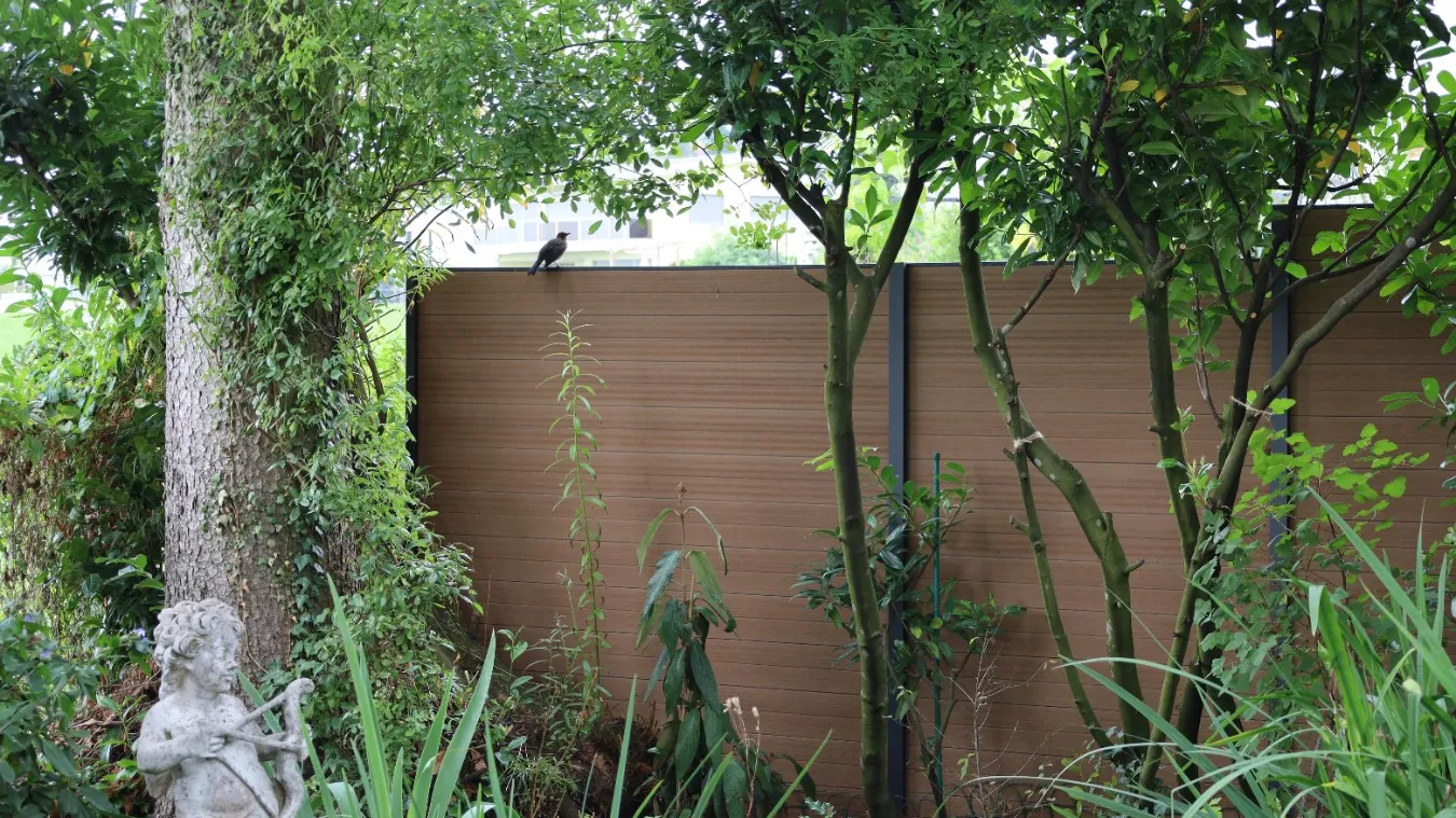 4 Foto Sichtschutz 9.JPG