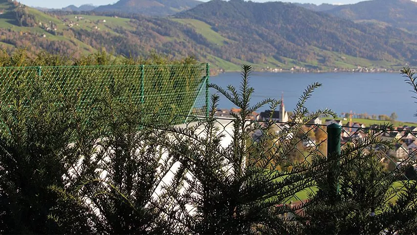 Haus-und-Garten-Diagonalgeflechtzaun-grn-plastifiziert.jpg