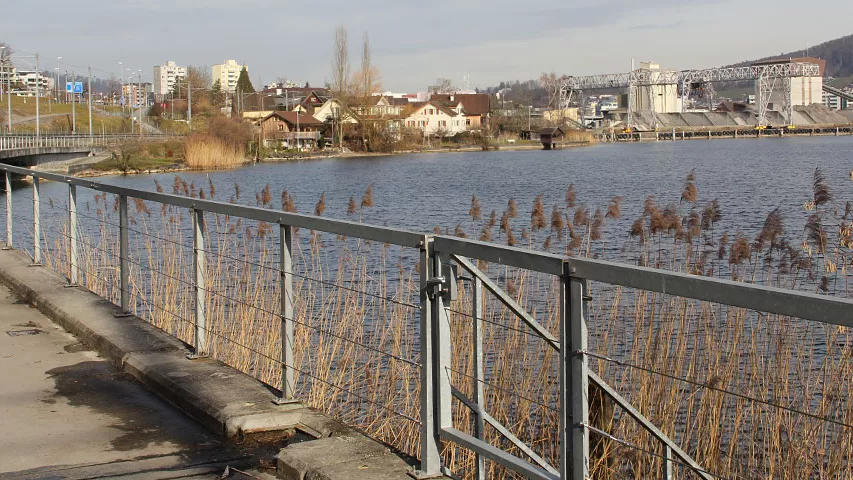 Sport_und_Freizeit_Handlauf_5087.jpg